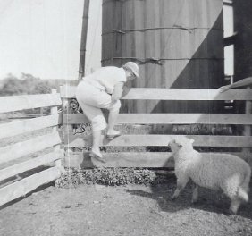'Nonnie' Gore running from a lamb